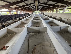 Rekonstrukce haly výkrmu prasat